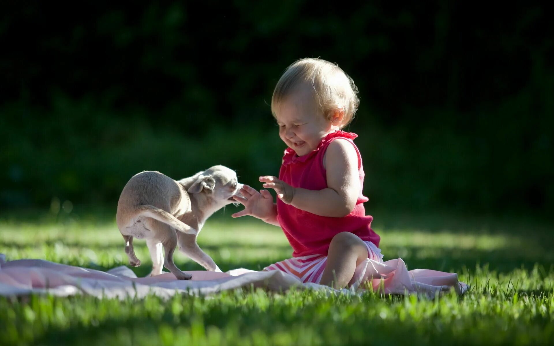 Мир любопытство. Забавные дети. Дети с животными. Маленькие дети с животными. Для детей. Животные.
