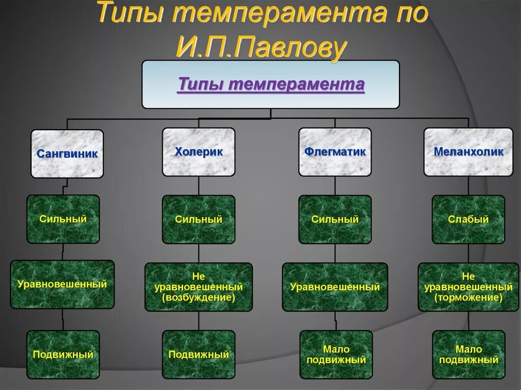 Павлов классификация темпераментов. Типы темперамента по Павлову. Классификация типов темперамента по Павлову. Типы темперамента Павлов. Типах темперамента и п павлова