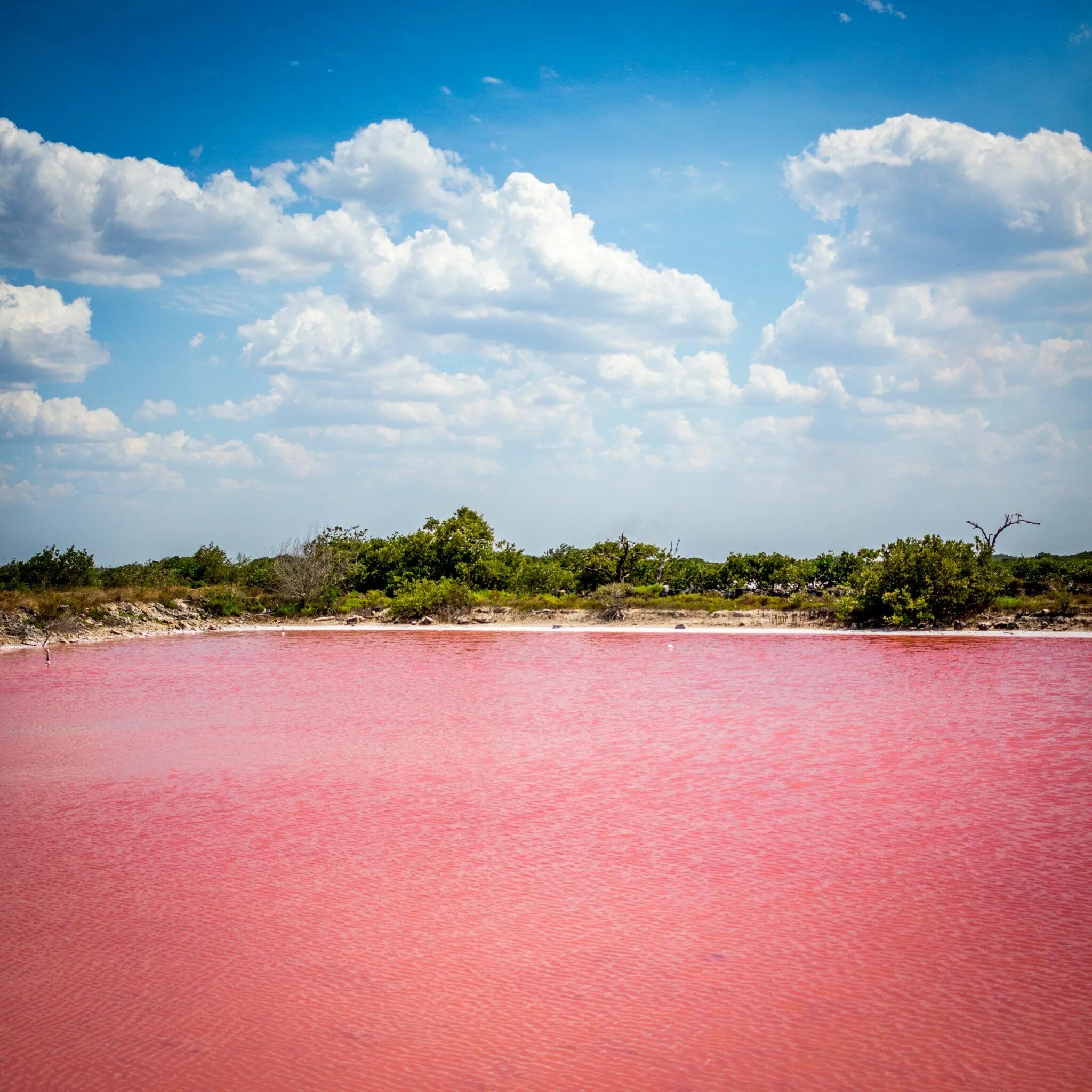 озеро хиллиер, западная австралия. розовая речка. розовая природа. розовая речка.