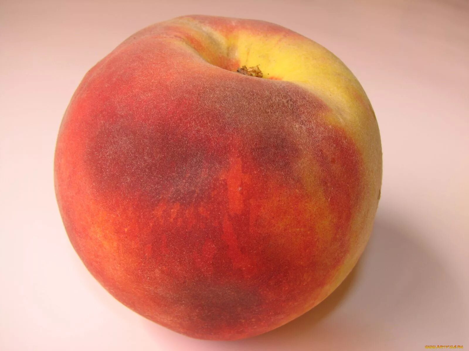 декоративная подушка с фамилией соколов. ценность фигур в шахматах. по 1 шт каждый. по 1 шт каждый. Tefal jb1011e0.