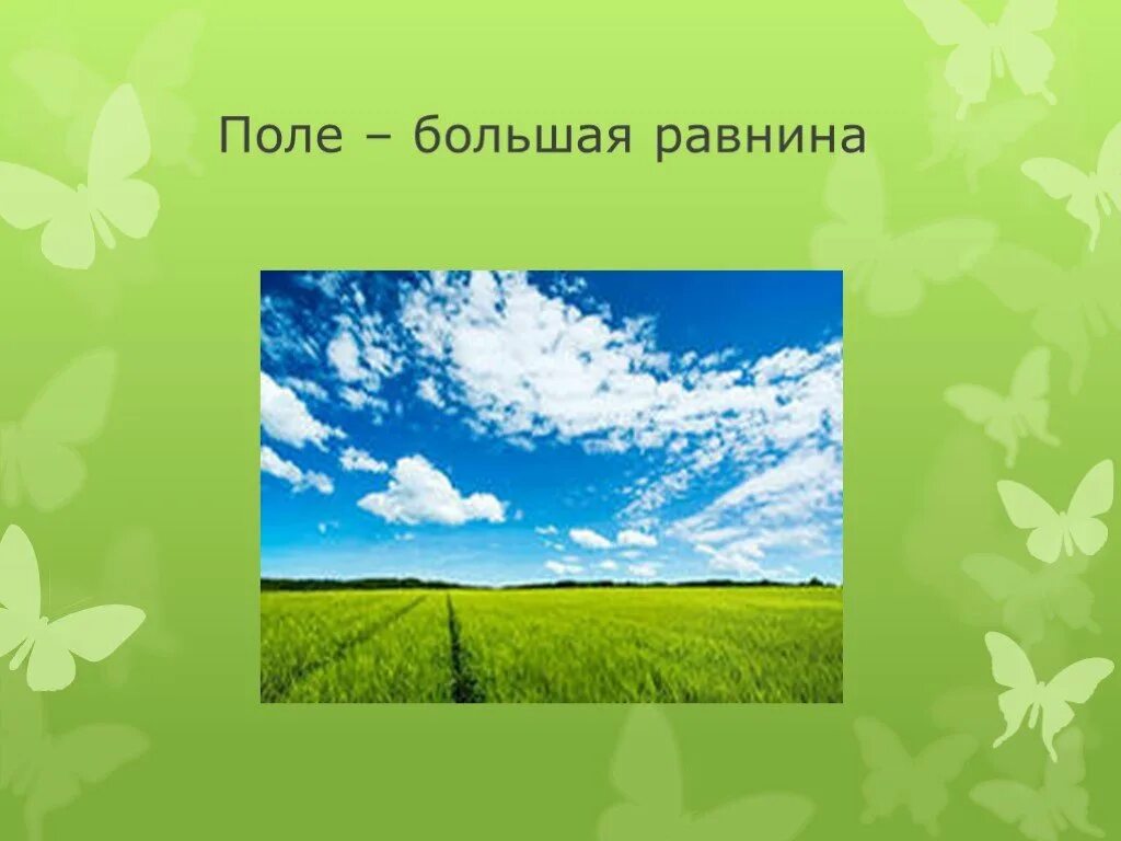 Поле информации. Сообщение о русском поле. Поле для презентации. Русское поле презентация. Поля соч