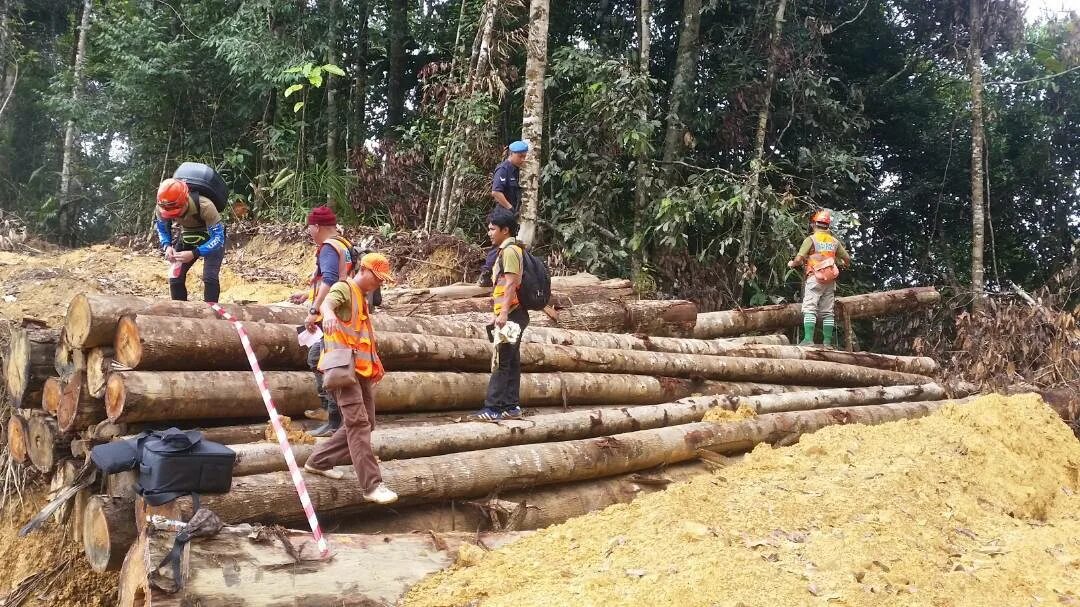 Problems logging