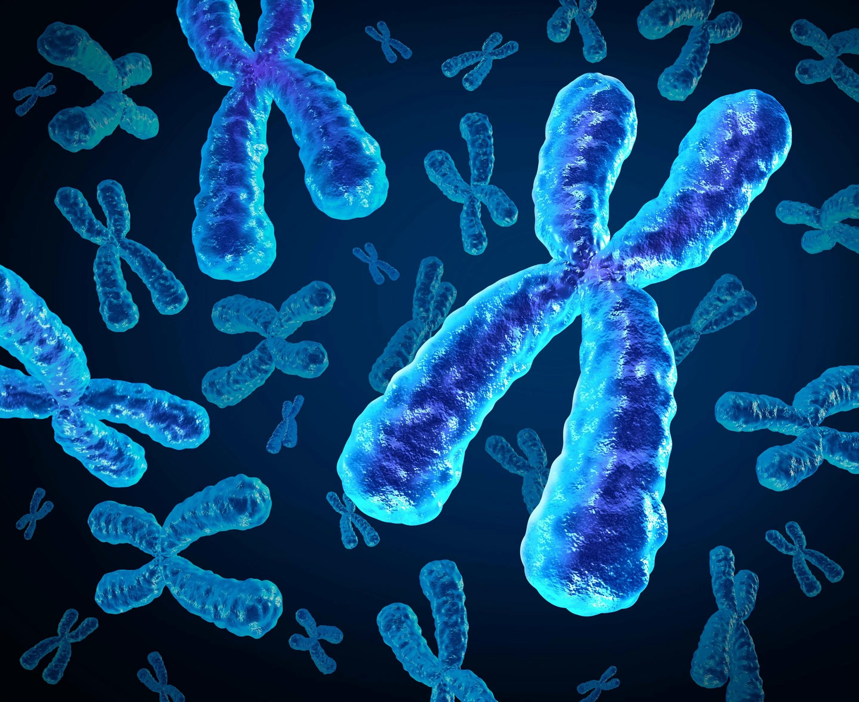 Удвоение хромосом какая мутация. Хромосомы. Х И У хромосомы. Ген и хромосома. Гены и хромосомы.