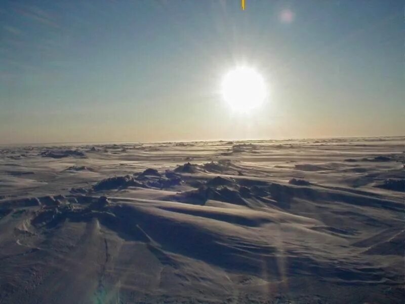 Во время полярного дня