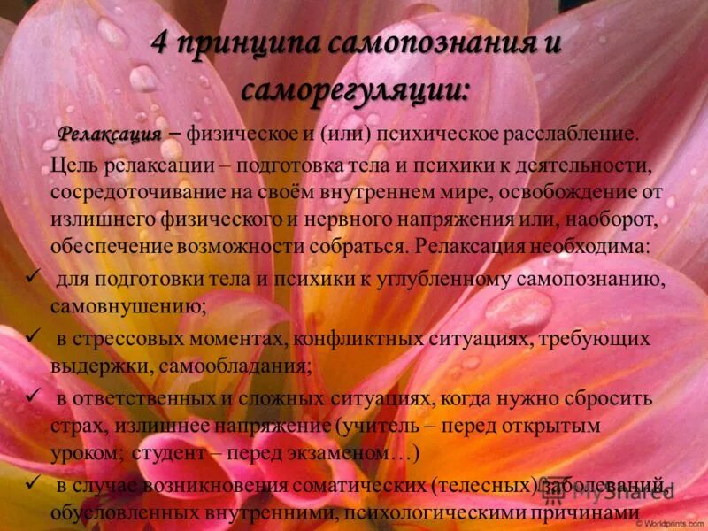 принципы самопознания. принципы самопознания. методы самовоспитания. показания для цитогенетического обследования. предмет самопознание в казахстане.