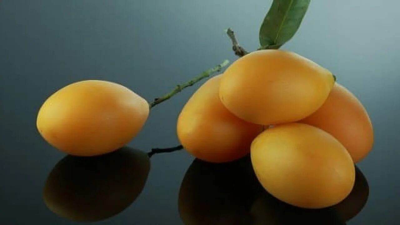 Фрукт желтый похож. Тайская слива. желтый фрукт похожий на сливу. желтая ягода похожая на сливу. фрукт похожий на абрикос.
