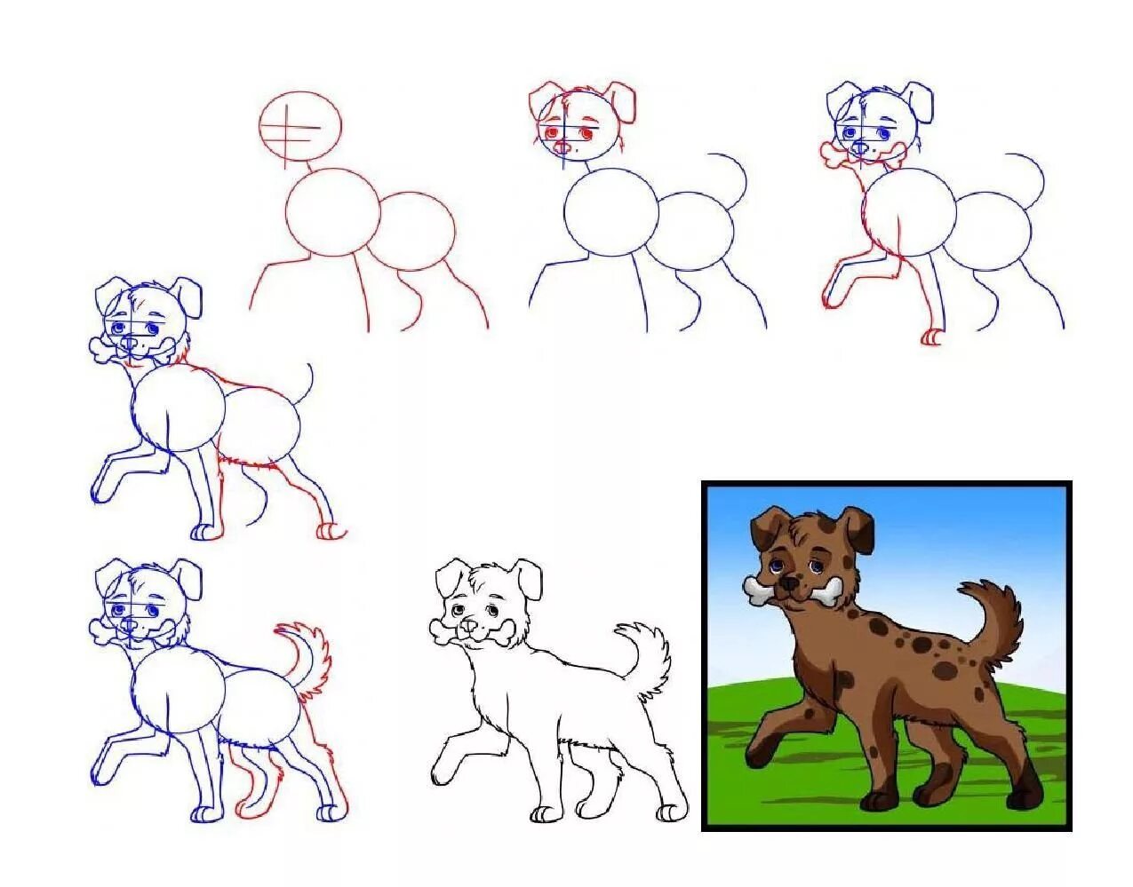 Быстро и легко нарисовать собаку. Поэтапное рисование собаки. Собака для рисования. Уроки рисования собака для детей. Поэтапный рисунок собаки.