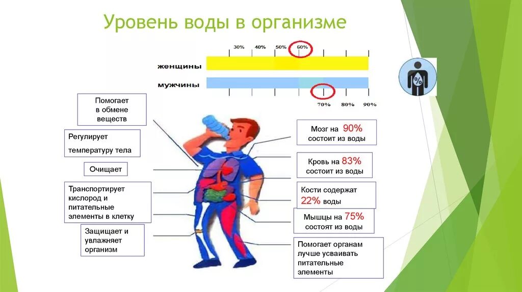 Русский повышенный уровень. Уровень воды в организме. Повысить уровень воды в организме. Повышенный уровень воды в организме. Движение воды в организме человека.