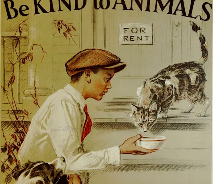 Be kind to animals. Ретро животные. To be kind. Be kind to the Cat.