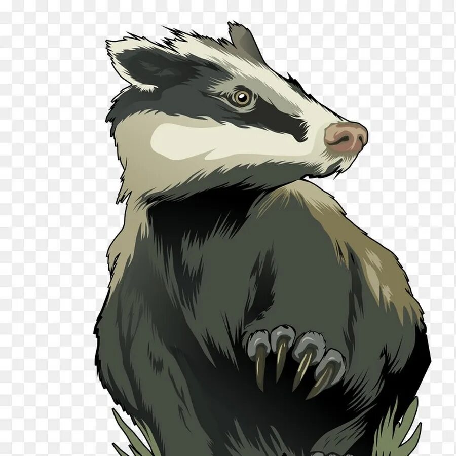 Badger на русском