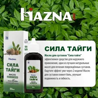 Сила тайги сила гор