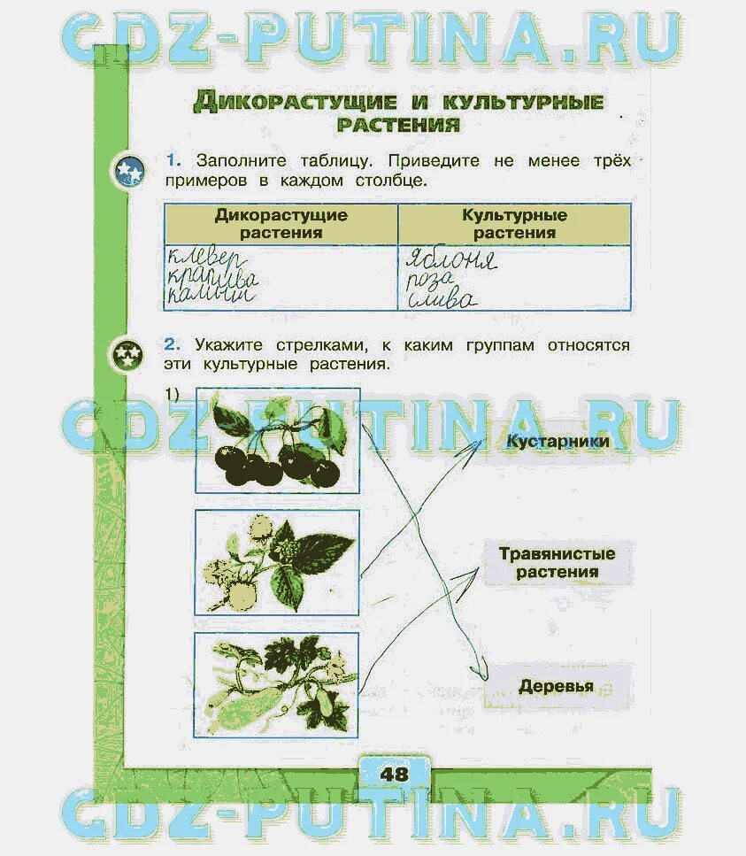 Окружающей 2 класс 1 часть ответы. Окружающий мир 2 класс рабочая тетрадь 1 часть Плешаков ответы стр 48. Дикорастущие растения 2 класс окружающий мир рабочая тетрадь. Окружающий мир 2 класс рабочая тетрадь. Окружающий мир 2 класс рабочая тетрадь стр 48.