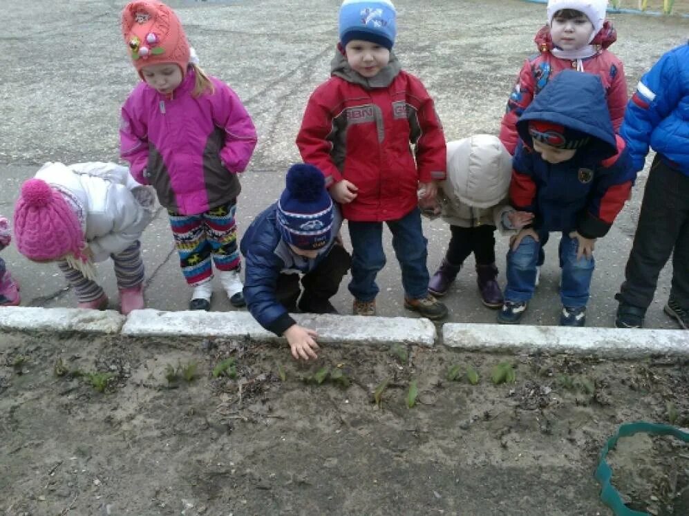 Целевые прогулки в природу. Целевые прогулки в природу
