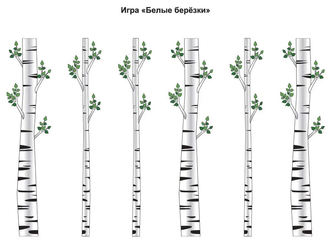 Березки игры. Игра Березка. Игры про березу. Игры с березой для детей. Береза по частям.