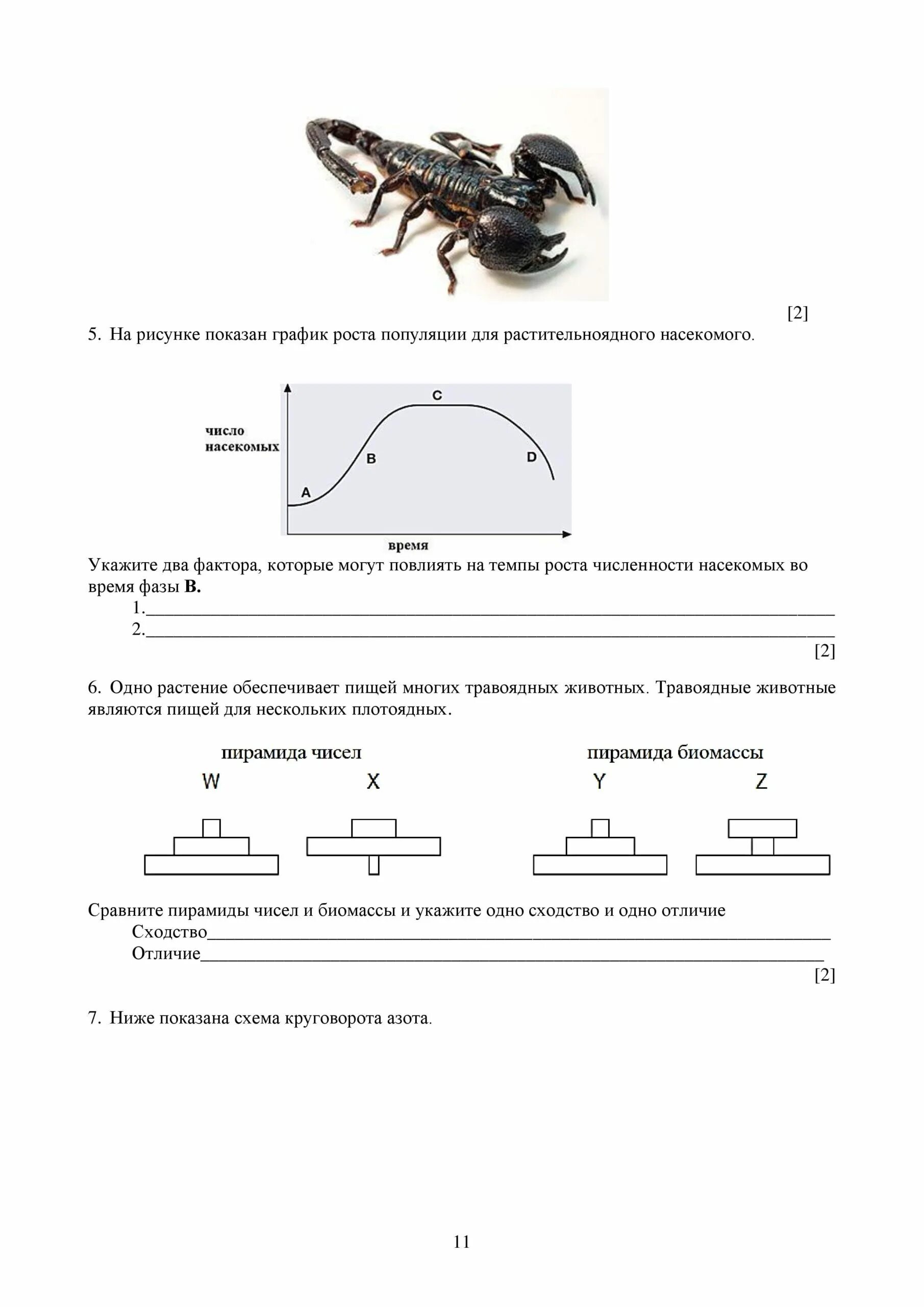 Соч по биологии 9