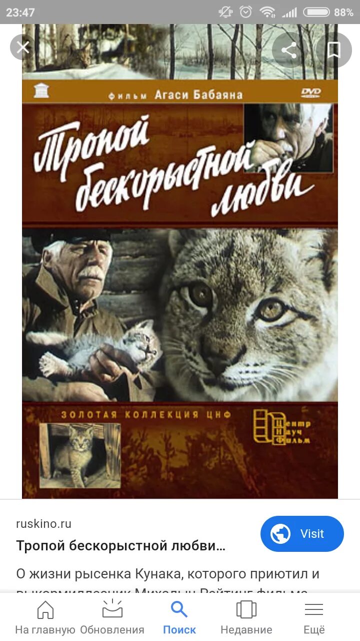 Фильм про рысь кунак. Тропой бескорыстной любви 1971 обложка. Тропой бескорыстной. Тропой бескорыстной любви фильм 1971 кадры. Тропой бескорыстной.