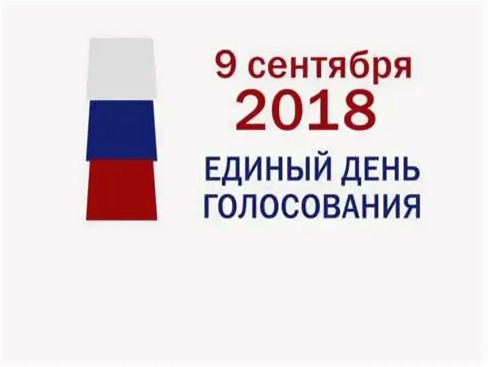 Выборы 2022. Единый день голосования 2022. День голосования 9. День голосования 9. 8 сентября единый день голосования.