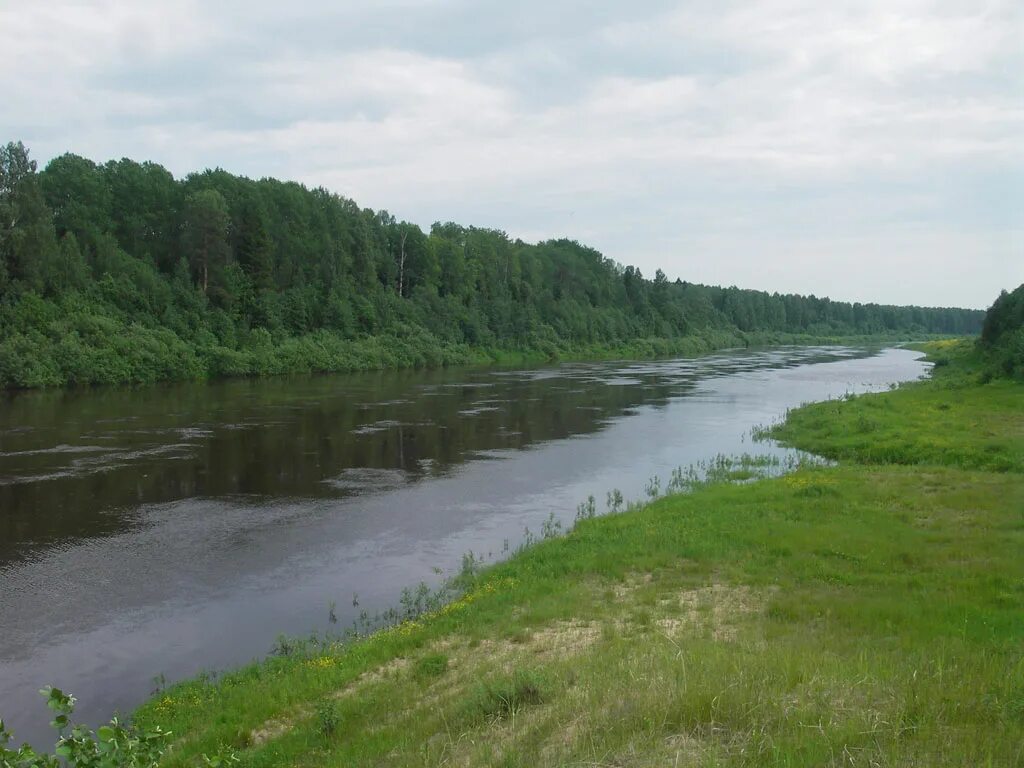 Уровень воды в унже сегодня. Река Унжа Костромская область. Мантурово Костромская область река Унжа. Река Унжа Макарьевский район. Мантурово река Унжа.