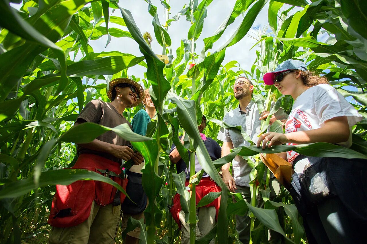 About Plants. School of Agriculture and food Sciences. Fake News about Plants made by pupils. Plant scientist