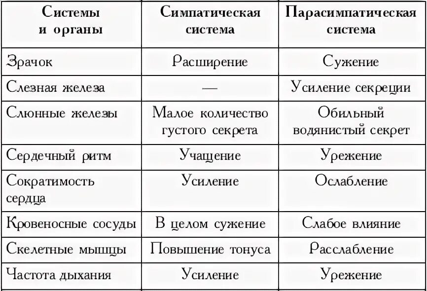 Действия симпатического и парасимпатического отделов. Симпатический отдел вегетативной нервной системы таблица. Симпатическая и парасимпатическая нервная система таблица. Действие симпатического и парасимпатического отделов таблица. Сравнение симпатического и парасимпатического отделов таблица.