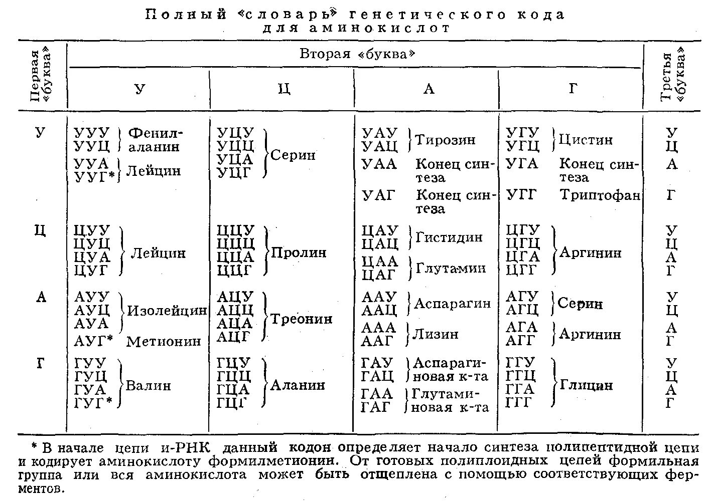 Гца аминокислота