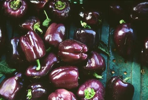 Dream peppers