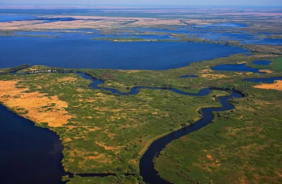 Дельта дуная заповедник. Дельта дуная. Дельта реки дунай. Дельта дуная. Дельта дуная румыния.