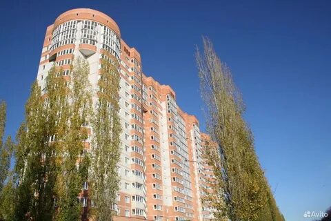 Ломоносова 36