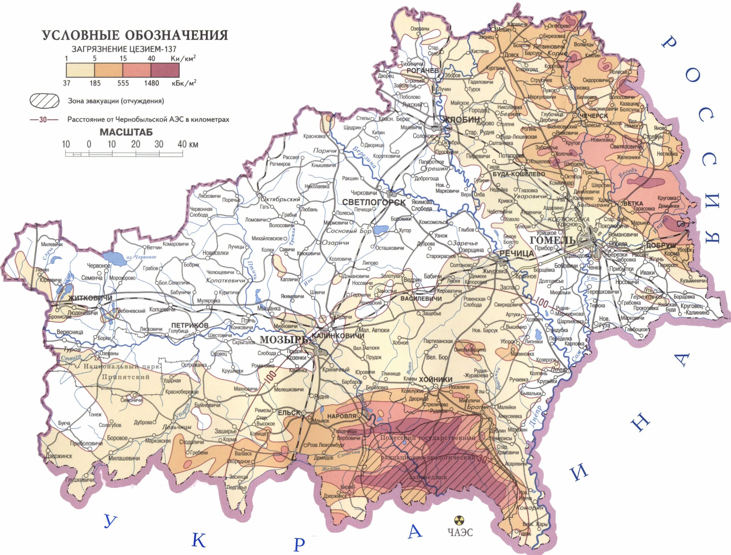 Зоны загрязнения чернобыльской аэс. Загрязнения Гомельской области карта радиационного загрязнения. Зоны радиоактивного загрязнения Гомельской области на карте. Карта радиоактивного загрязнения Беларуси после Чернобыля. Карта радиационного загрязнения Гомельской области.
