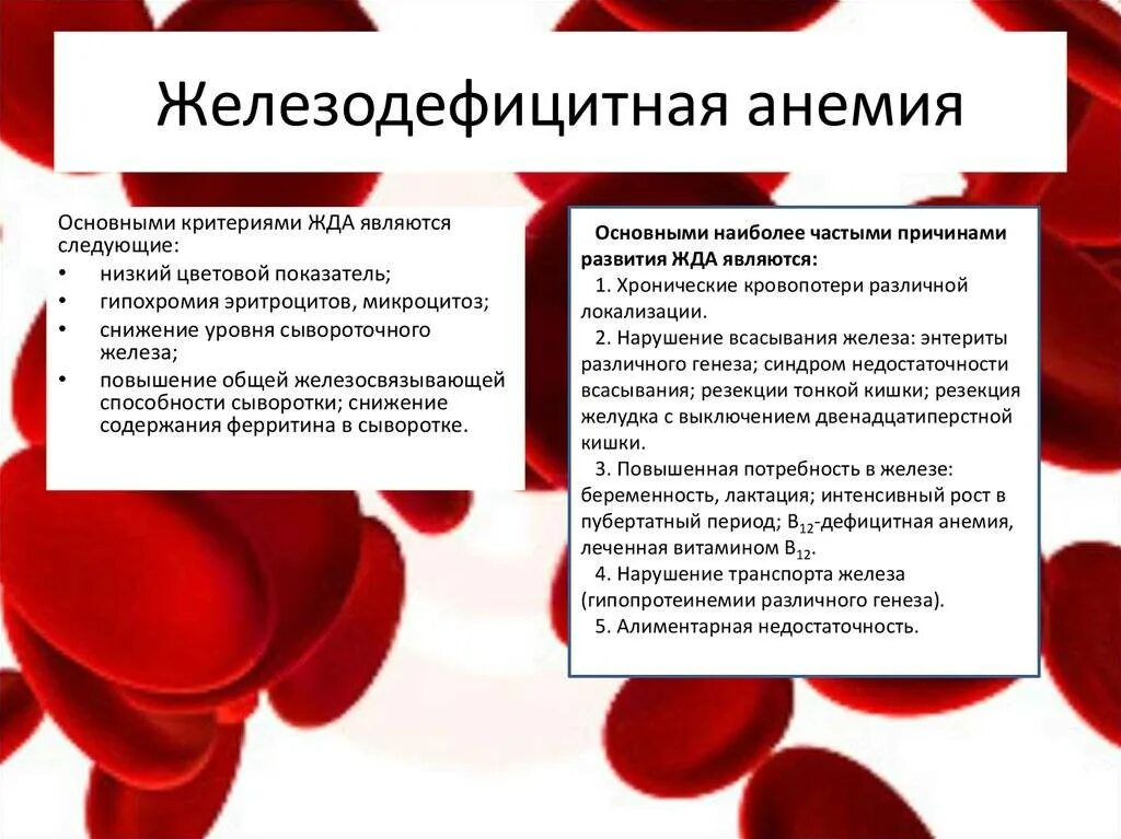 Признаки дефицитной анемии. Железодефицитная анемия снижение гемоглобина. Железо крови при железодефицитной анемии. Железный дефицит анемия причины. Причиной развития железодефицитной анемии является:.