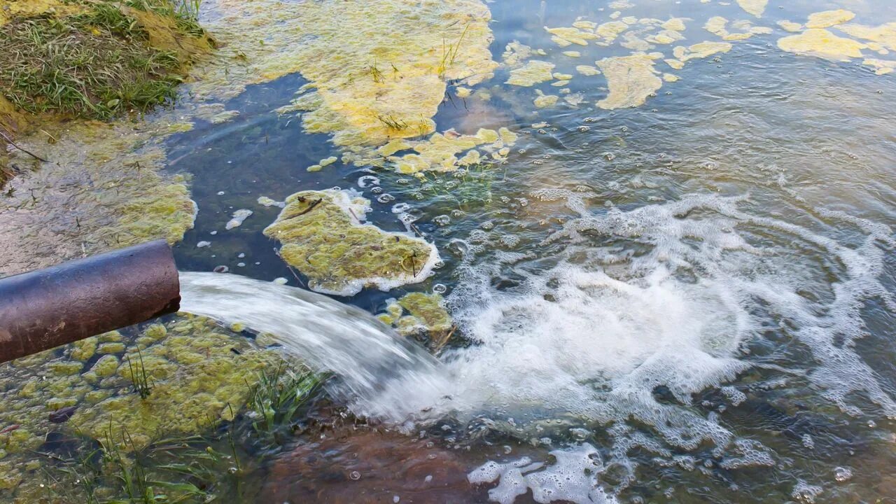 В реки и в дальнейшем. Загрязнение воды. Производственные сточные воды. Загрязнение водоемов. Загрязнение водных источников.