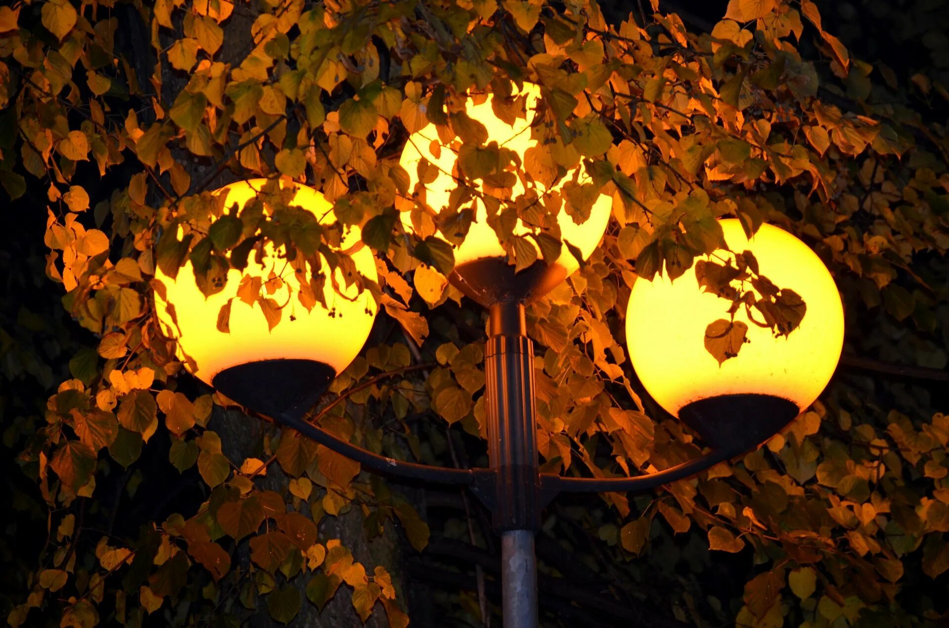 Ночные фонари обои на телефон. Уличный фонарь ночью. Осенний вечер. Ночные фонари. Фонари в парке.