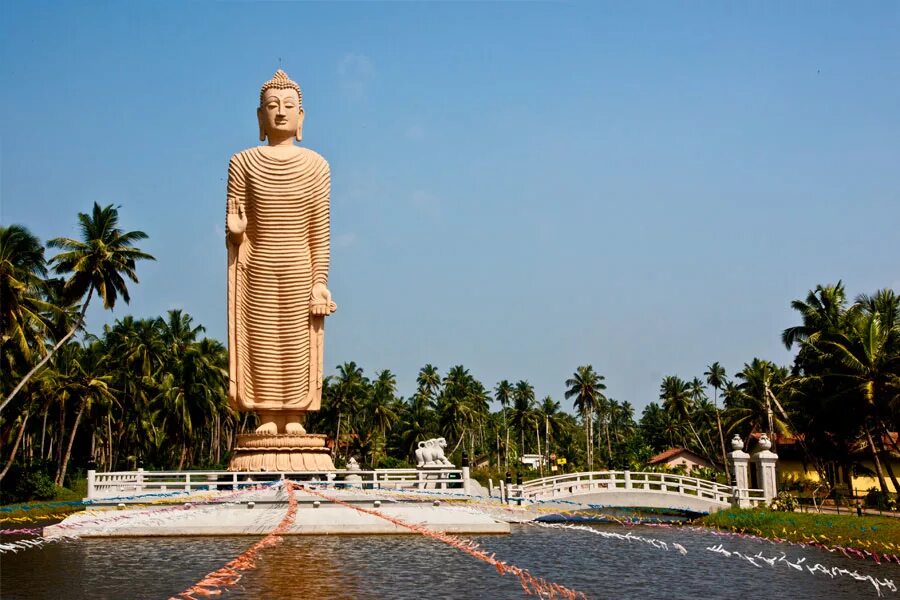 будда памятник шри ланка. будда в лотосе статуя. статуя будды шри ланка. горный парк михинтале. будда памятник шри ланка.