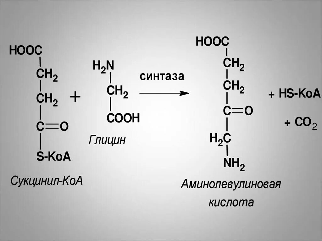 Hooc ch. Синтез гема из сукцинил КОА. Синтез и распад гема. Сукцинил КОА синтаза. Аминолевулиновая кислота Синтез.