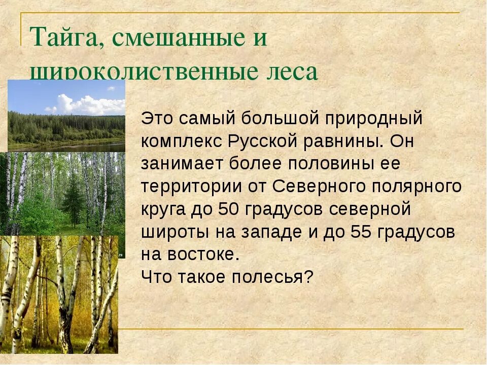 Климатические характеристики тайги