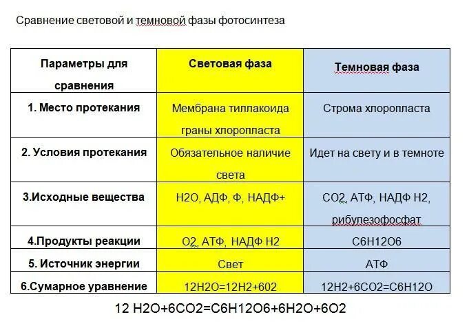Егэ биология схема световая фаза фотосинтеза. Фотосинтез световая фаза и темновая фаза таблица. Место протекания процесса световой фазы. Таблица параметры световая фаза темновая фаза фотосинтеза. Темновая фаза фотосинтеза таблица.