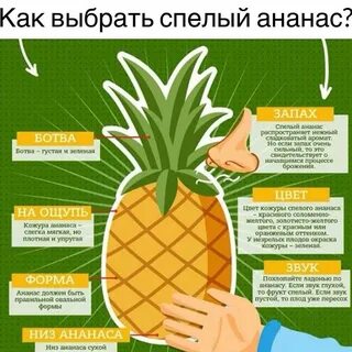 Ананас можно есть при беременности