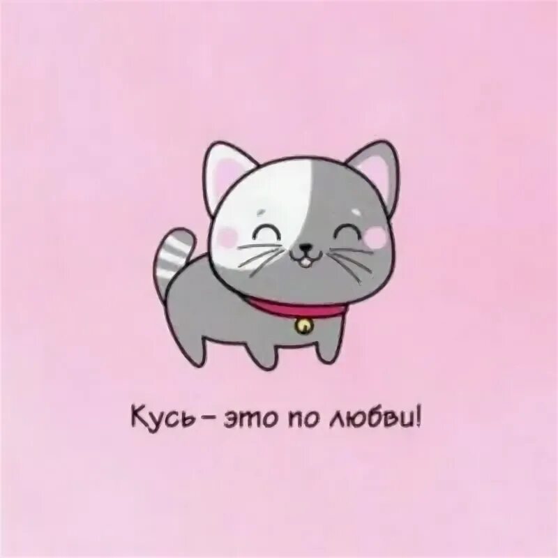 Любовь это кусь. Любовь с первого кусь открытка. Футболка кусь. Открытка кусь. Любовь с первого кусь открытка.