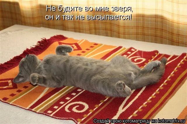 не будите спящего зверя