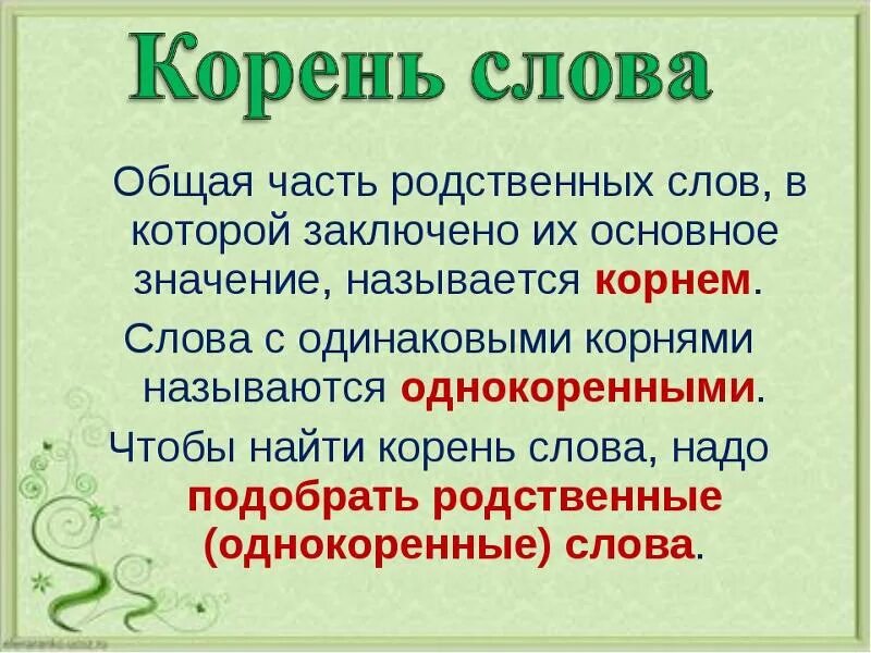 Слово мужской корень