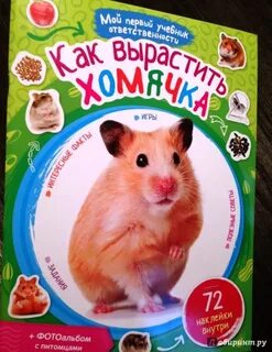 Хомяк игра какие карточки