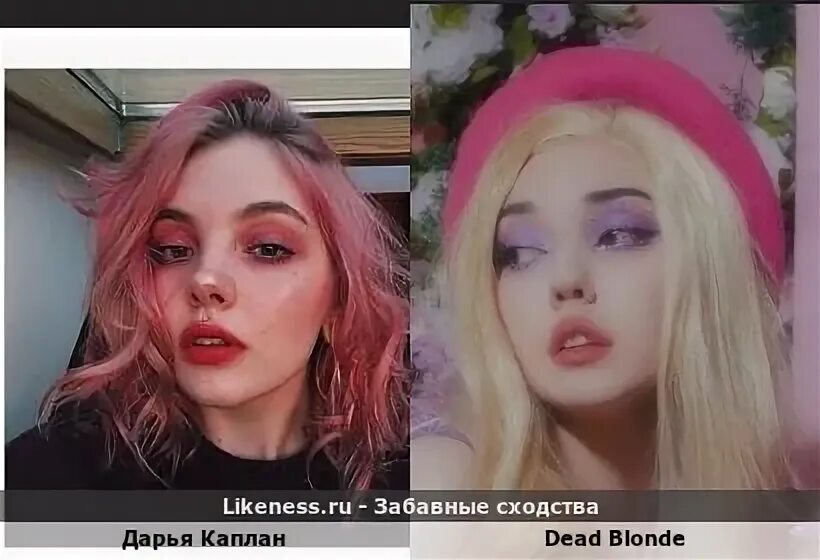 Dead blonde ростов