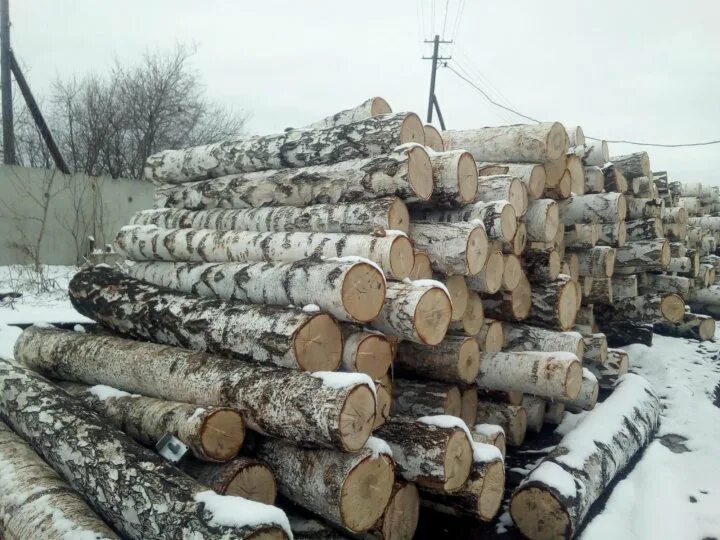 Продам березка. Кругляк береза Фискарс. Береза кругляк. Пиловочник береза. Березовый кругляк.