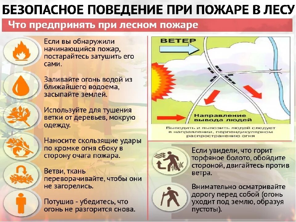 Почему горит россия. Памятка поведение при обнаружении очага лесного пожара. Памятка поведение при обнаружении очага пожара в лесу. Памятка поведение при обнаружении очага пожара. Памятка поведения при Лесном пожаре.