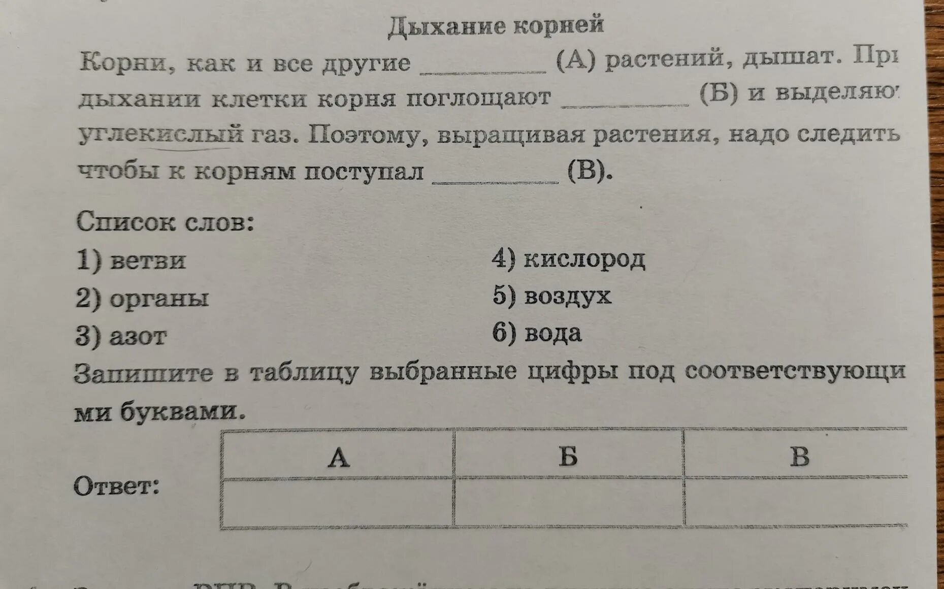 Впишите пропущенное слово словосочетание. Текст с пропущенными словами 1 класс. Впишите философские вопросы из предложенного списка. Вставь в текст дыхание растений пропущенные термины. Из предложенного списка выберите 3 объекта природы.