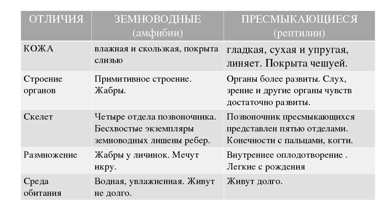 Различия рептилий и млекопитающих. Чем пресмыкающиеся отличаются от земноводных таблица. Отличие строения земноводных от пресмыкающихся. Разница пресмыкающихся от земноводных. Пресмыкающиеся таблица строение отличие от земноводных.