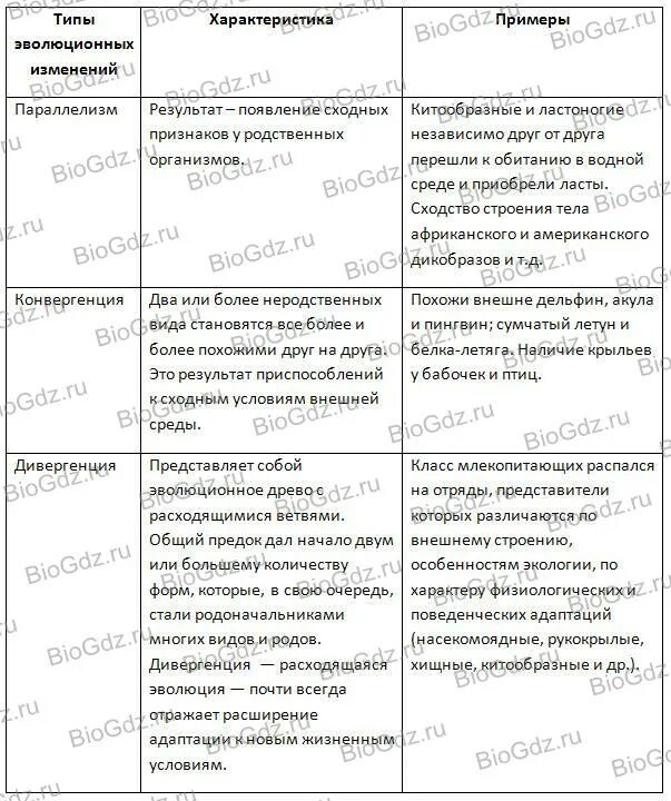 Основные закономерности биологической эволюции таблица. Типы эволюционных изменений 9 класс биология таблица. Эволюционные изменения таблица. Общие закономерности биологической эволюции 9 класс таблица. Таблица эволюционные преобразования