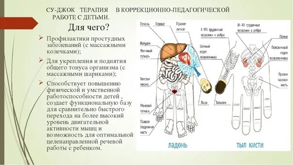 Су джок академия сайт. Методика Су Джок терапия. Схемы Су Джок терапии. Су Джок терапия точки. Точки Су Джок при гипертонии.