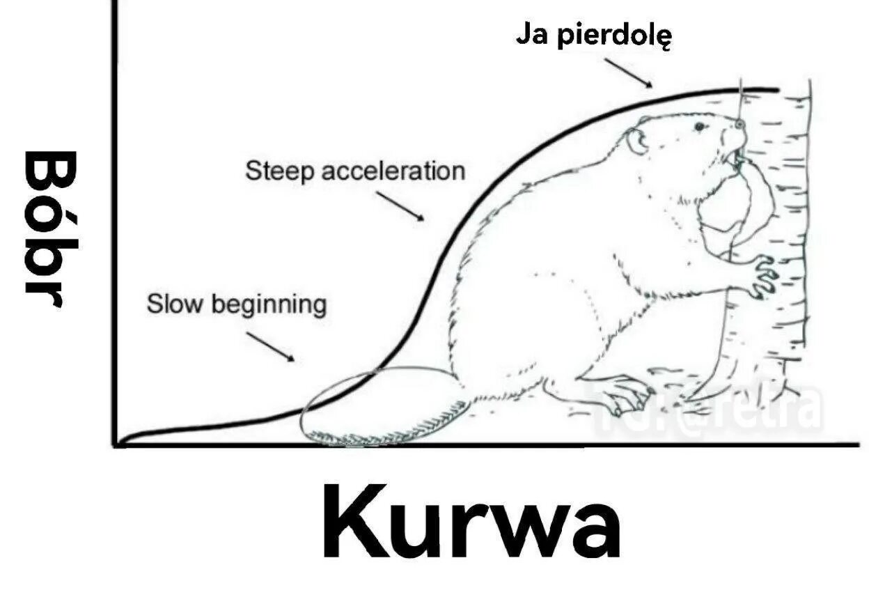 Bobr kurwa ja pierdole jakie bydle. Бобр kurwa. kurwa мемы. мемы про бобра. бобры мем.