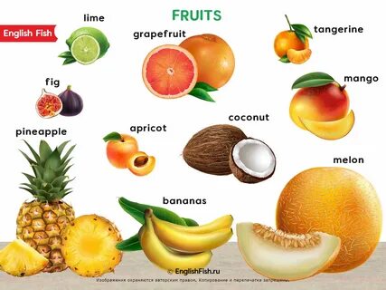 Logia fruits